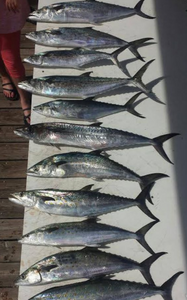 Hook of the day!